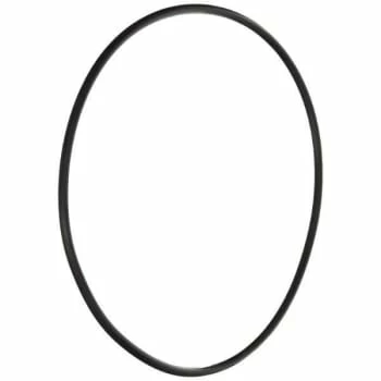 Pentair Pinnacle/superflo Seal Plate O-Ring