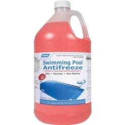 GENERIC Champion 1 Gallon Pool Antifreeze (4-Case)
