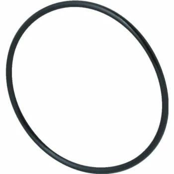 GENERIC Pentair 355331 Challenger Diffuser Pool O-Ring