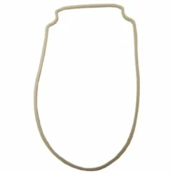 Pentair Whisperflo/intelliflo Pump Body Gasket